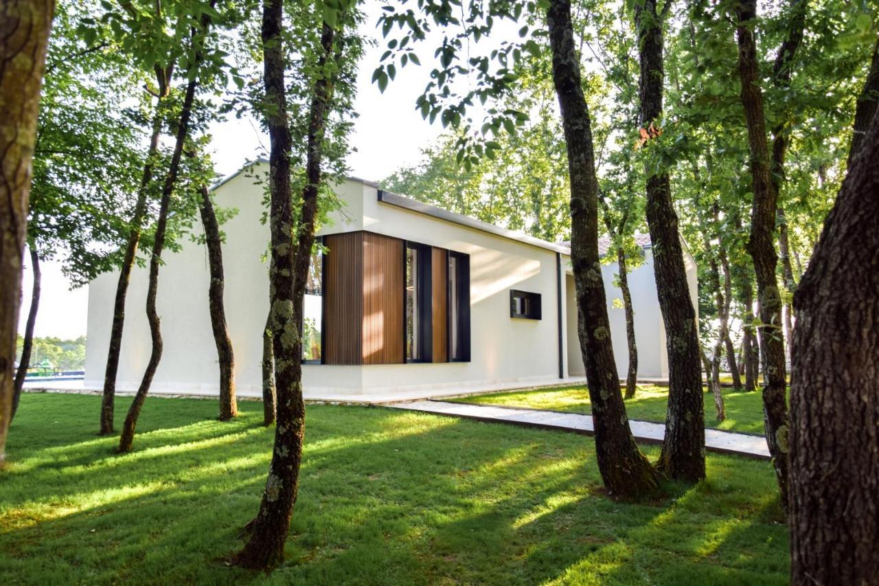 Casa Bosca With Heated Pool Villa Sveti Petar u Sumi Exterior photo