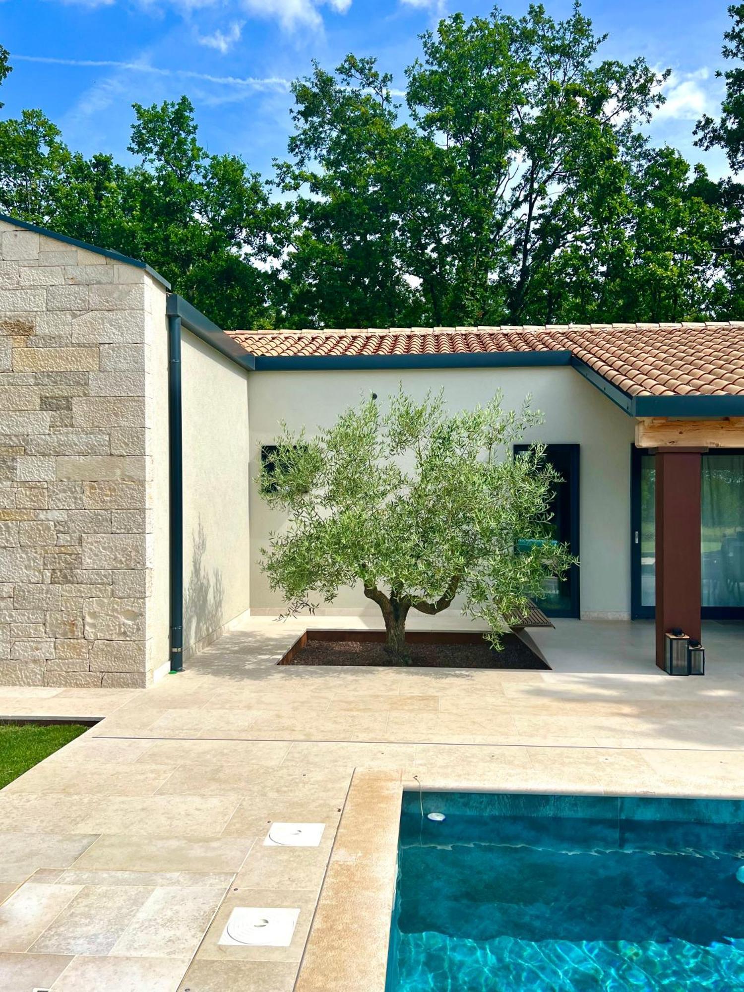Casa Bosca With Heated Pool Villa Sveti Petar u Sumi Exterior photo